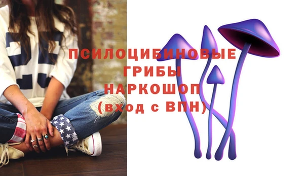 не бодяженный Алексин