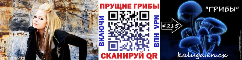 дарк нет как зайти  Кириши  Псилоцибиновые грибы MAGIC MUSHROOMS 
